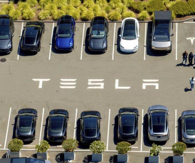Ventas de Tesla en Europa caen por séptimo mes consecutivo debido al rechazo hacia Musk Ventas de Tesla en Europa caen por séptimo mes consecutivo debido al rechazo hacia Musk