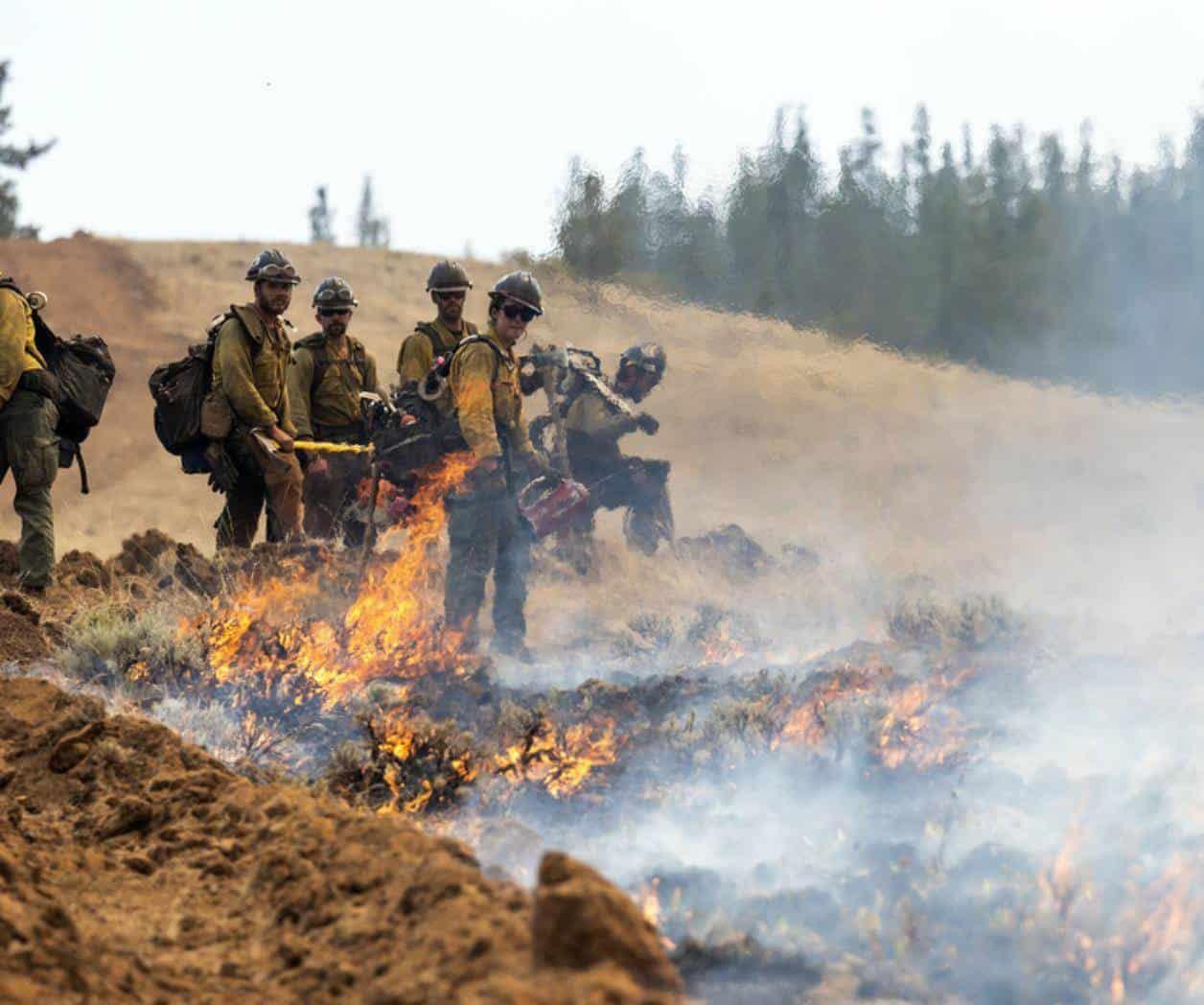 Patrulla fronteriza arresta a 2 bomberos que combatían incendio forestal en el estado de Washington