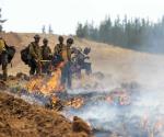Patrulla fronteriza arresta a 2 bomberos que combatían incendio forestal en el estado de Washington