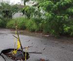 Lluvias recientes  dañan el drenaje