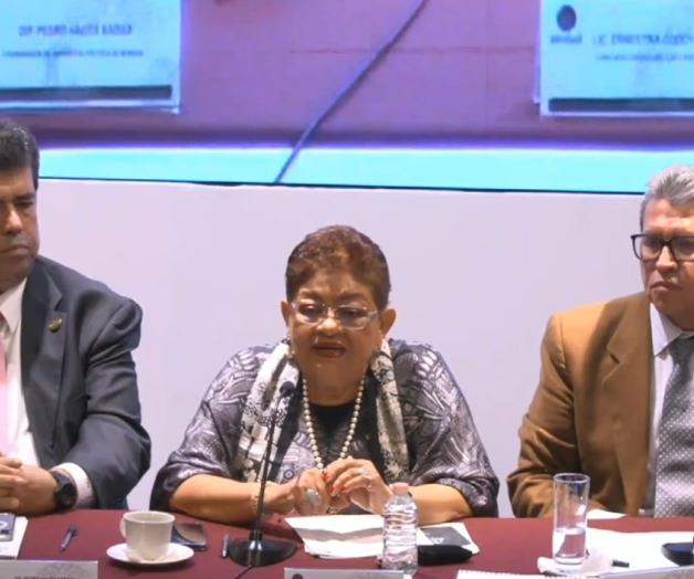 Godoy perfila paquete de reformas: aduanas, IEPS a refrescos y salud Godoy perfila paquete de reformas: aduanas, IEPS a refrescos y salud