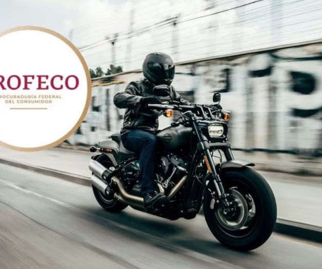 Profeco alerta sobre fallo en amortiguador de motos Harley-Davidson: 7 modelos afectados Profeco alerta sobre fallo en amortiguador de motos Harley-Davidson: 7 modelos afectados