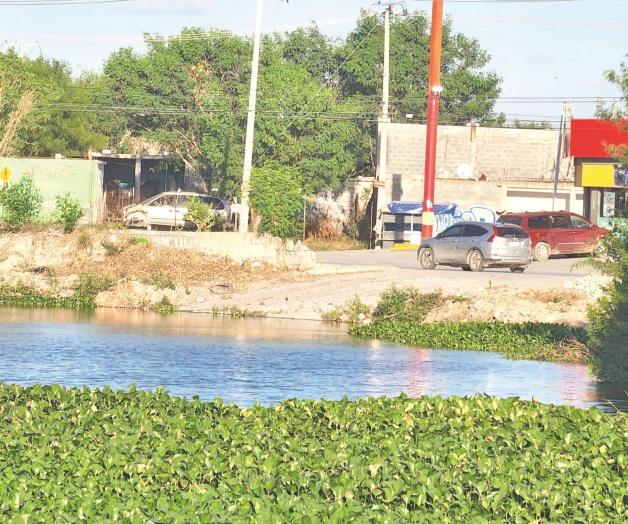 Dejan inconclusa limpieza en Balcones