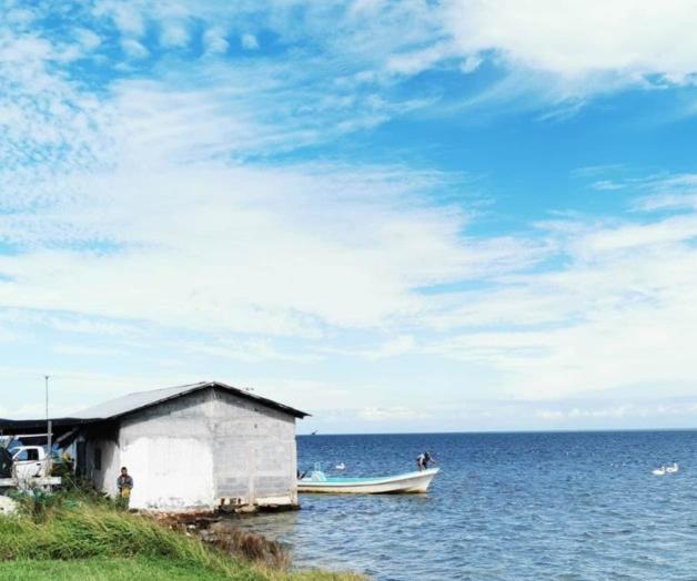 Viene nueva veda de lisa