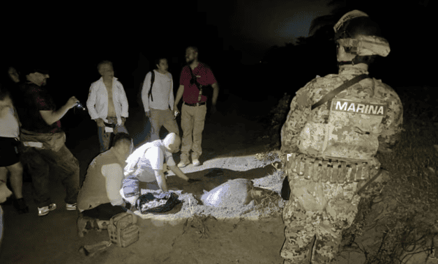 Marina localiza 61 nidos de tortuga golfina en costas de Michoacán Marina localiza 61 nidos de tortuga golfina en costas de Michoacán