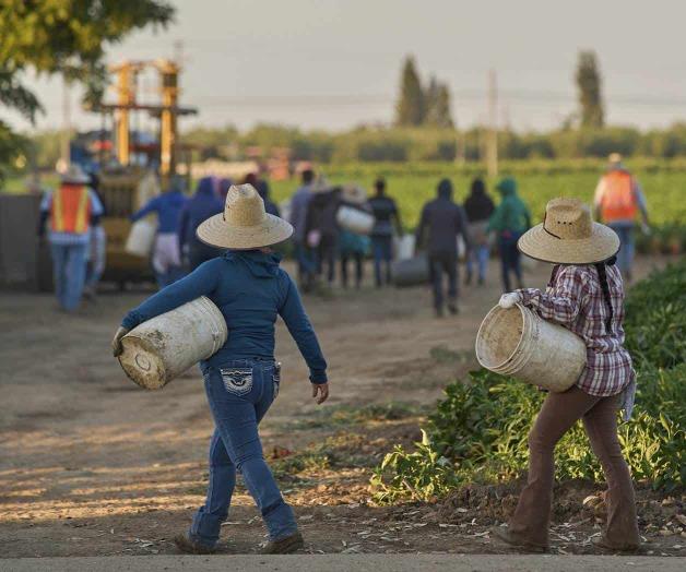 Dejan inmigrantes la fuerza laboral en EU Dejan inmigrantes la fuerza laboral en EU