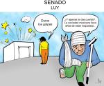 Senado