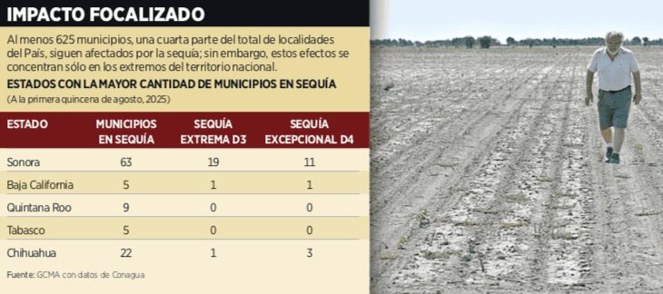 Pega sequ&iacute;a a granos b&aacute;sicos