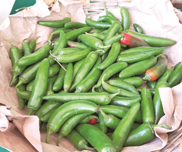 Alcanza el chile los 101 pesos por kilo Alcanza el chile los 101 pesos por kilo