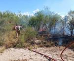 Incendios afectan tendido eléctrico