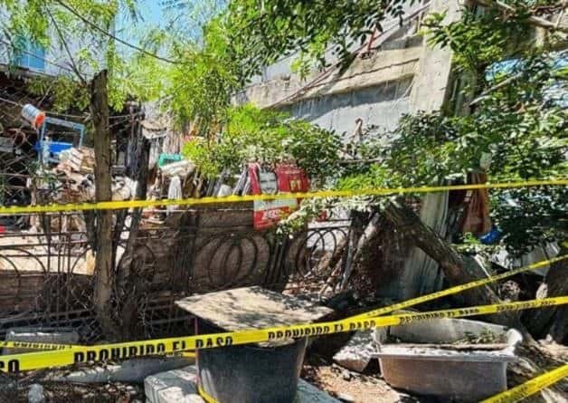 Muere bebé de 6 meses tras ataque de perros en Matamoros Muere bebé de 6 meses tras ataque de perros en Matamoros