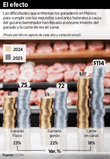 Presiona gusano precios de reses Presiona gusano precios de reses