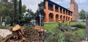 Tornado en San Cristóbal de las Casas deja 77 viviendas dañadas