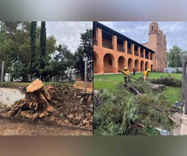 Tornado en San Crist&oacute;bal de las Casas deja 77 viviendas da&ntilde;adas