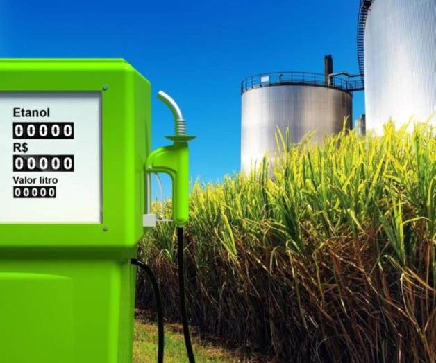 Producirán combustibles con excedentes de sorgo Producirán combustibles con excedentes de sorgo