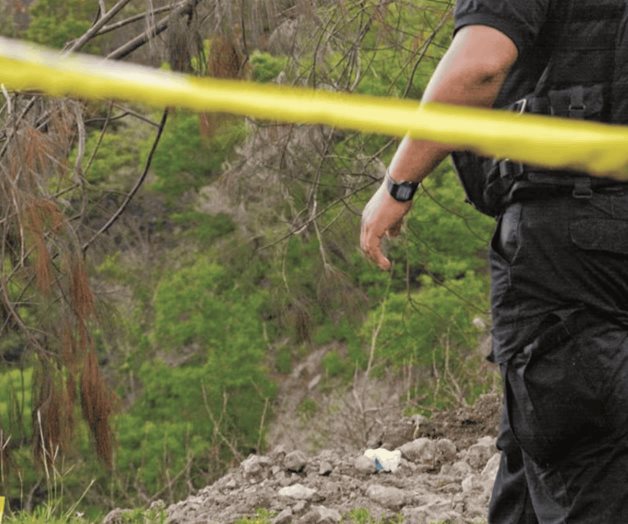 Reportan aparición de cuerpos descuartizados en el norte de Veracruz Reportan aparición de cuerpos descuartizados en el norte de Veracruz