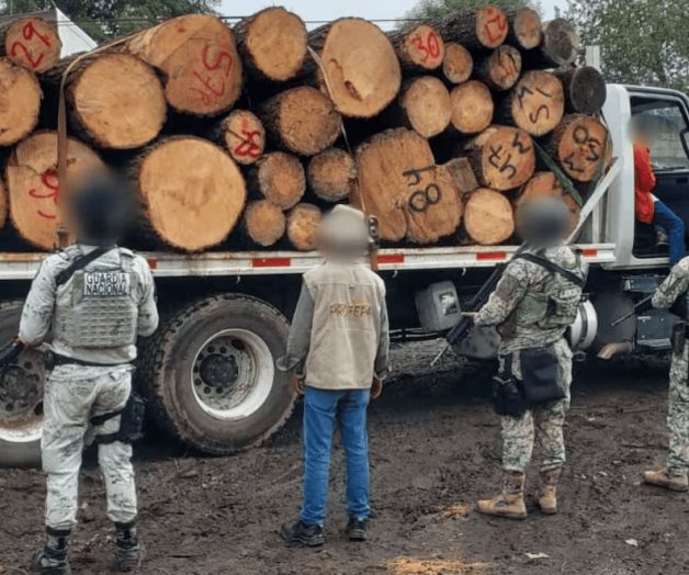 Desmantelado aserradero ilegal en Morelos por Profepa Desmantelado aserradero ilegal en Morelos por Profepa