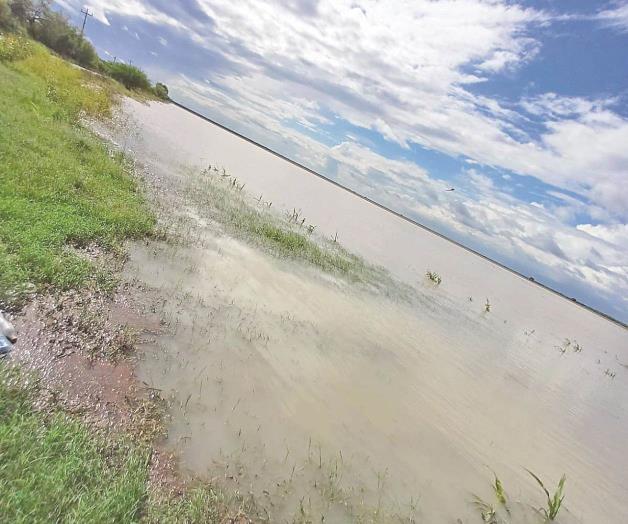 Reynosa se prepara para buena cosecha Reynosa se prepara para buena cosecha