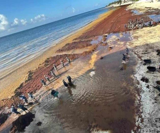 Semar recolecta 14 mil toneladas de sargazo en Quintana Roo Semar recolecta 14 mil toneladas de sargazo en Quintana Roo