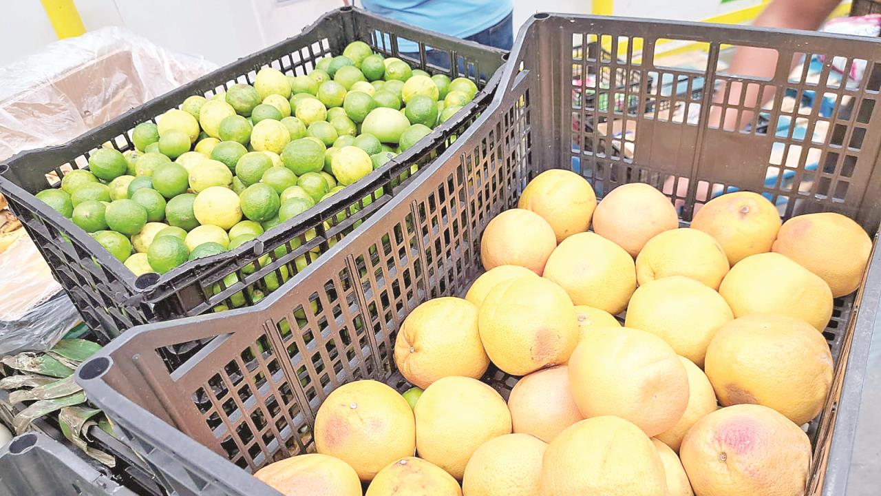 Se estabilizan precios de los productos alimentarios