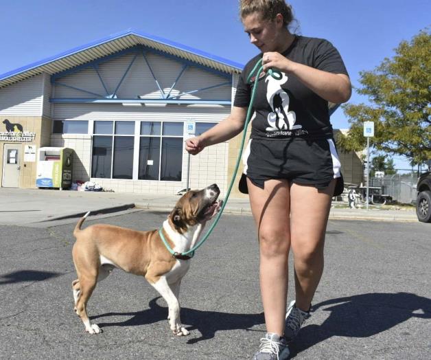 Atienden a personal de refugio de animales tras inhalar humo Atienden a personal de refugio de animales tras inhalar humo