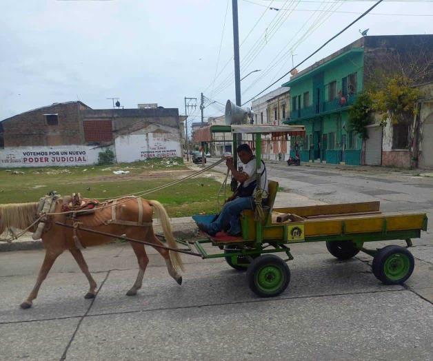 Buscan ponerle fin al uso de animales de tiro Buscan ponerle fin al uso de animales de tiro