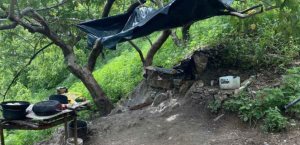 Gabinete de Seguridad asegura droga y armas en operativo en Sinaloa