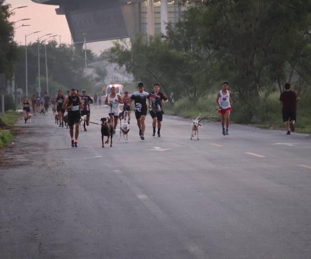 ¡Corrieron con sus perritos! ¡Corrieron con sus perritos!