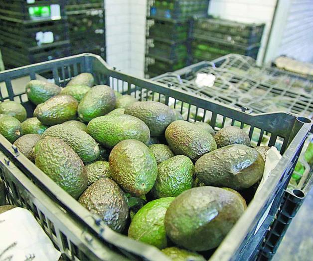 Libra el aguacate vaivén comercial