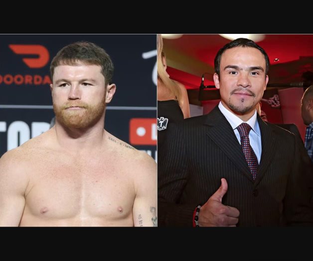 Juan Manuel Márquez critica la esquina del Canelo Álvarez tras su derrota ante Terence Crawford Juan Manuel Márquez critica la esquina del Canelo Álvarez tras su derrota ante Terence Crawford
