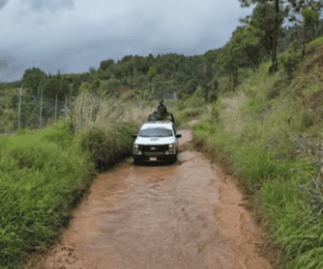 Abaten a dos integrantes de grupo armado en Michoacán Abaten a dos integrantes de grupo armado en Michoacán