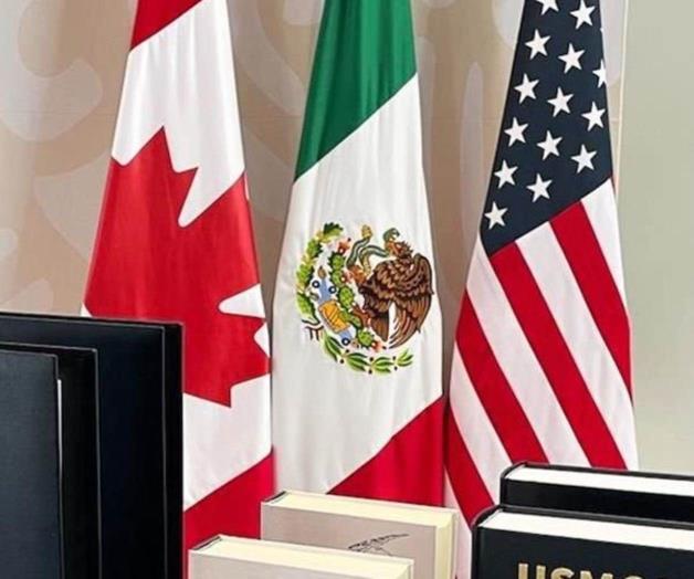 Inician procesos de consultas públicas para el T-MEC Inician procesos de consultas públicas para el T-MEC