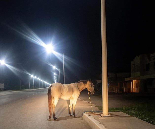 Atan un caballo a un lado de la carretera Atan un caballo a un lado de la carretera