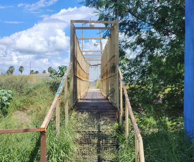 Puente peatonal al borde del colapso Puente peatonal al borde del colapso