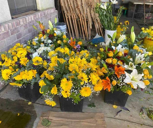 Flores amarillas para regalar al ser amado Flores amarillas para regalar al ser amado