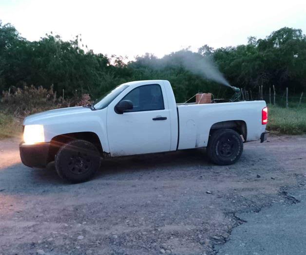 Plagas de zancudos atacan a ciudadanos Plagas de zancudos atacan a ciudadanos