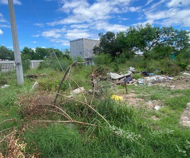 Focos de infección, casas y terrenos abandonados Focos de infección, casas y terrenos abandonados