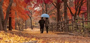 ¿Qué le pasa al cuerpo cuando empieza el otoño? Descubre cada efecto
