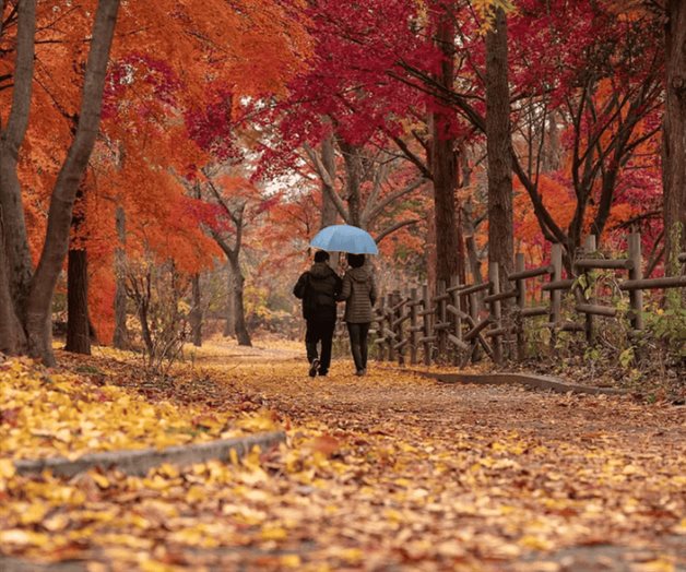 ¿Qué le pasa al cuerpo cuando empieza el otoño? Descubre cada efecto ¿Qué le pasa al cuerpo cuando empieza el otoño? Descubre cada efecto