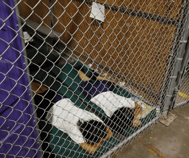 Pasan hasta 38 días encerrados Pasan hasta 38 días encerrados