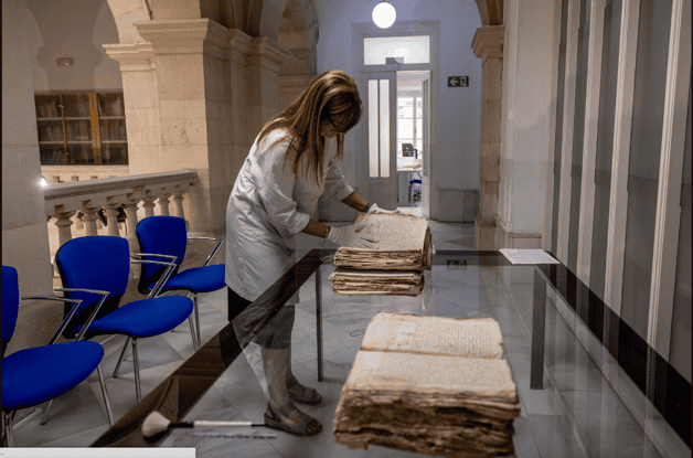El “triste” caso de Brígida Maldonado, la exitosa mujer que revolucionó la imprenta en la Sevilla del siglo XVI El “triste” caso de Brígida Maldonado, la exitosa mujer que revolucionó la imprenta en la Sevilla del siglo XVI
