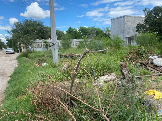 Focos de infección, casas y terrenos abandonados Focos de infección, casas y terrenos abandonados