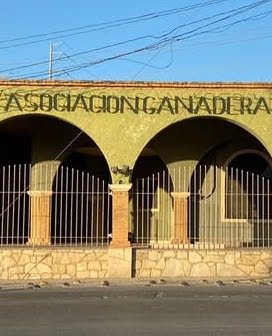 ¡Gusano barrenador alerta a ganaderos!