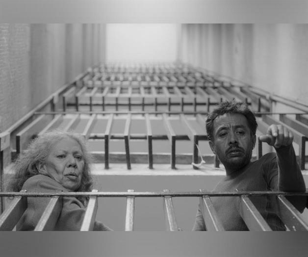 Representará a México en el Óscar y el Goya Representará a México en el Óscar y el Goya