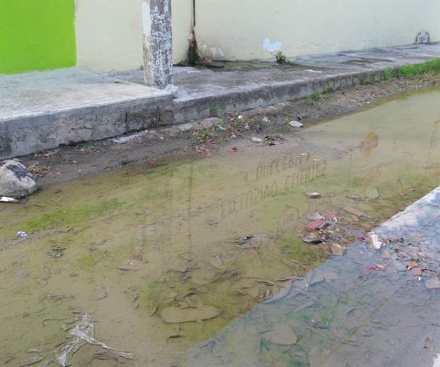 Aguas estancadas cambian de color verde por la lama Aguas estancadas cambian de color verde por la lama