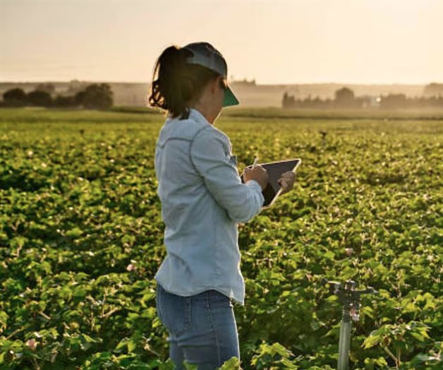 En México, 86% de trabajadoras agrícolas no tienen seguridad social En México, 86% de trabajadoras agrícolas no tienen seguridad social