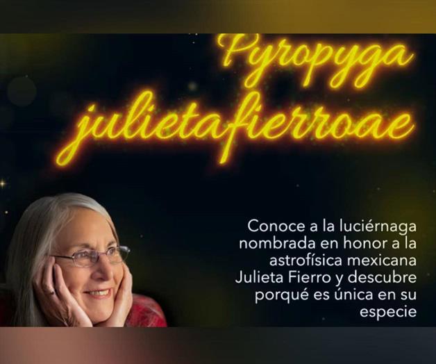 La luciérnaga que inmortaliza a Julieta Fierro en la ciencia mexicana La luciérnaga que inmortaliza a Julieta Fierro en la ciencia mexicana
