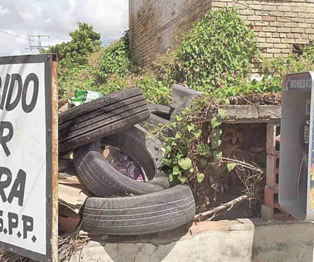Pululan tiraderos de basura y de llantas
