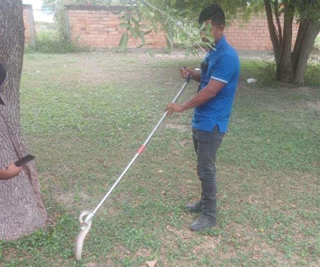 Atienden Bomberos reporte de una víbora Atienden Bomberos reporte de una víbora