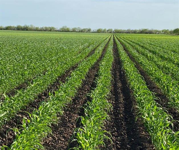 Gobierno federal recuperar&aacute; proyecto para que agua tratada de NL llegue a Tamaulipas